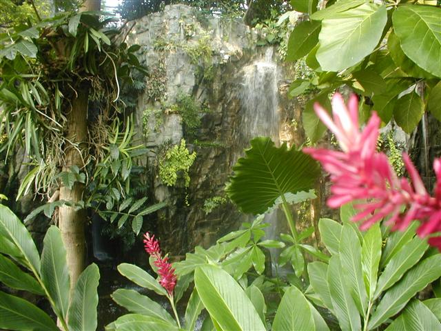 The waterfall, the flora, the heat